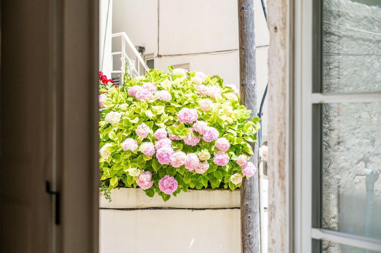 Old Town Historical Appartement